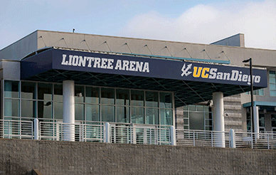 Liontree Arena